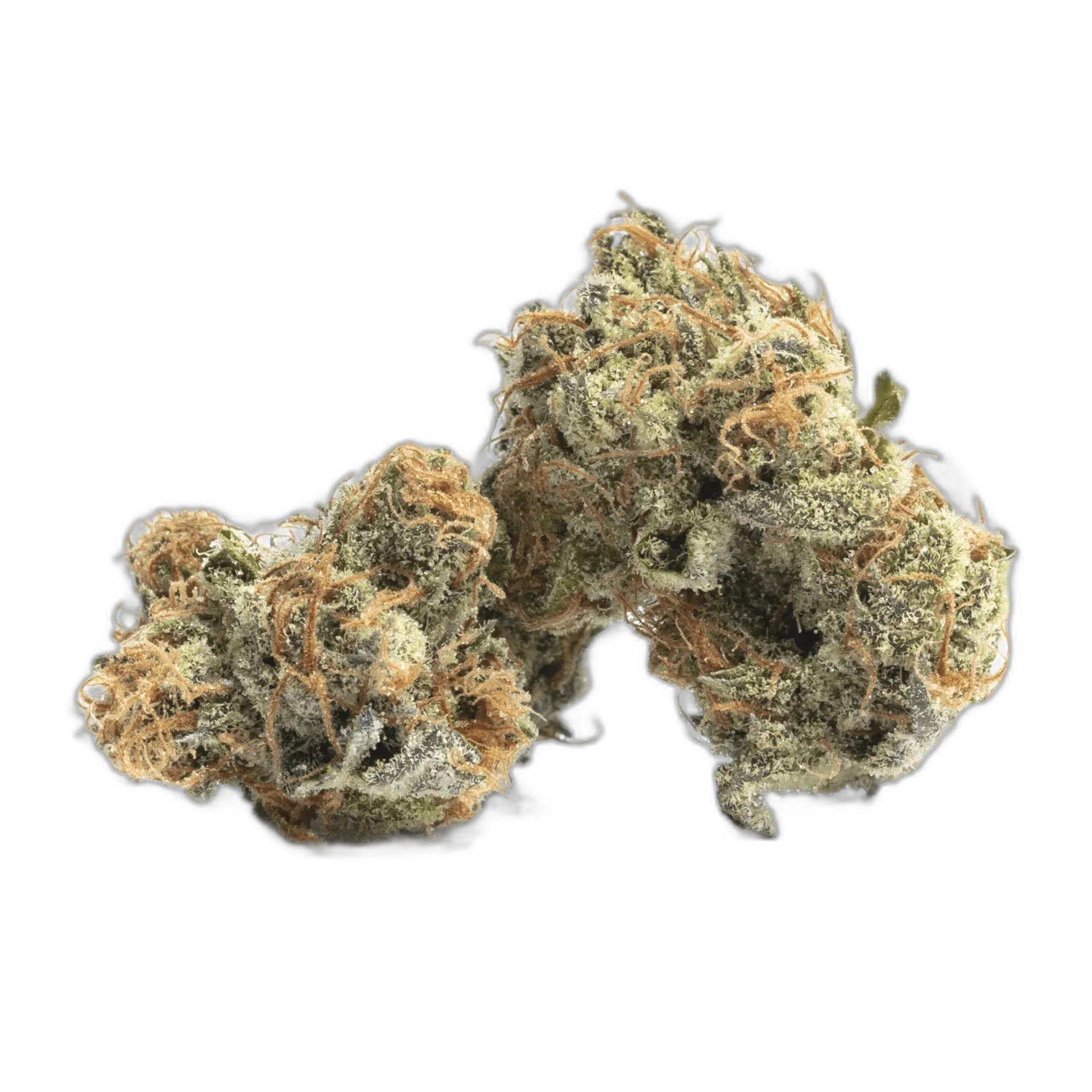 Purple Candy