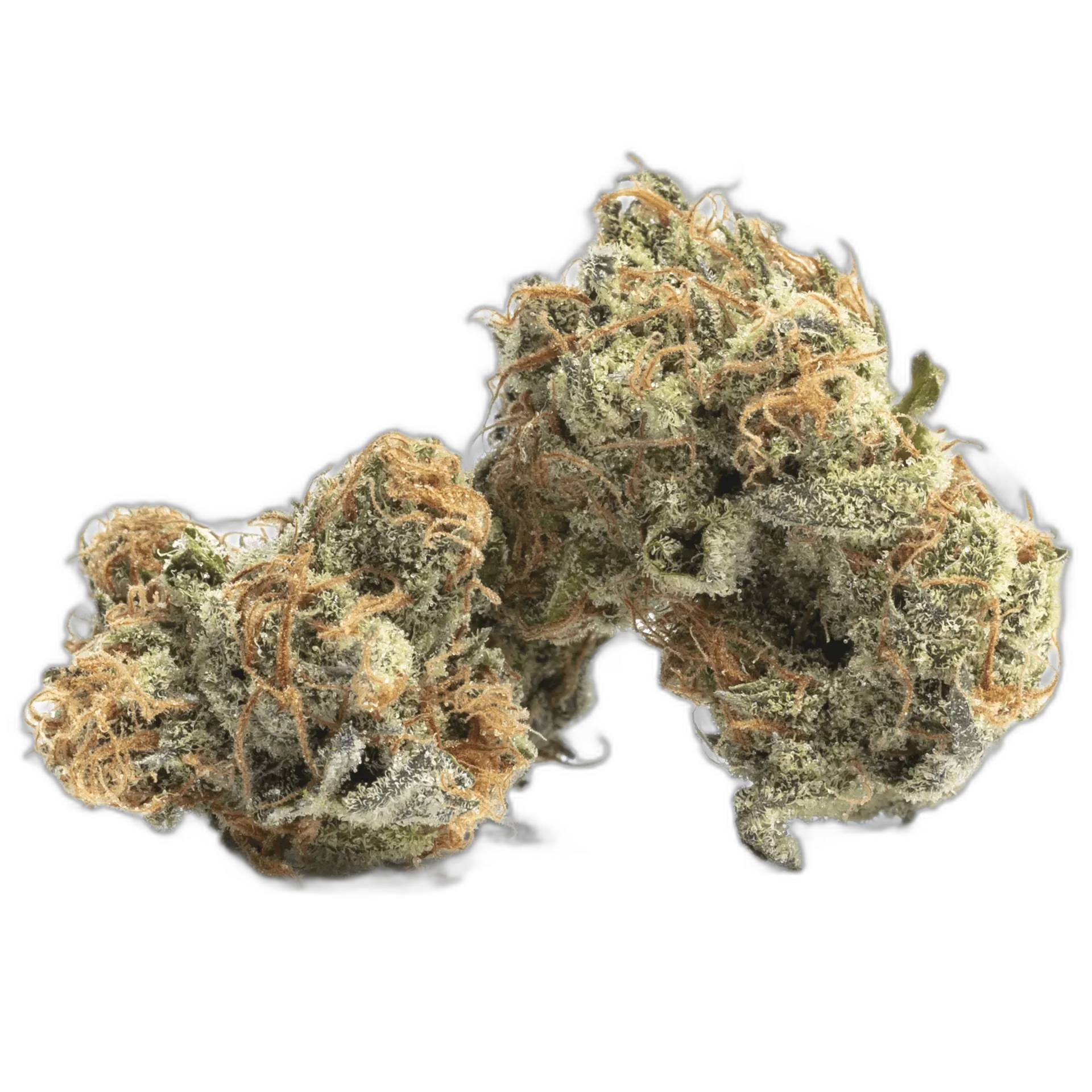 Purple Diesel