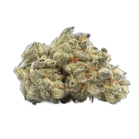 Purple Haze
