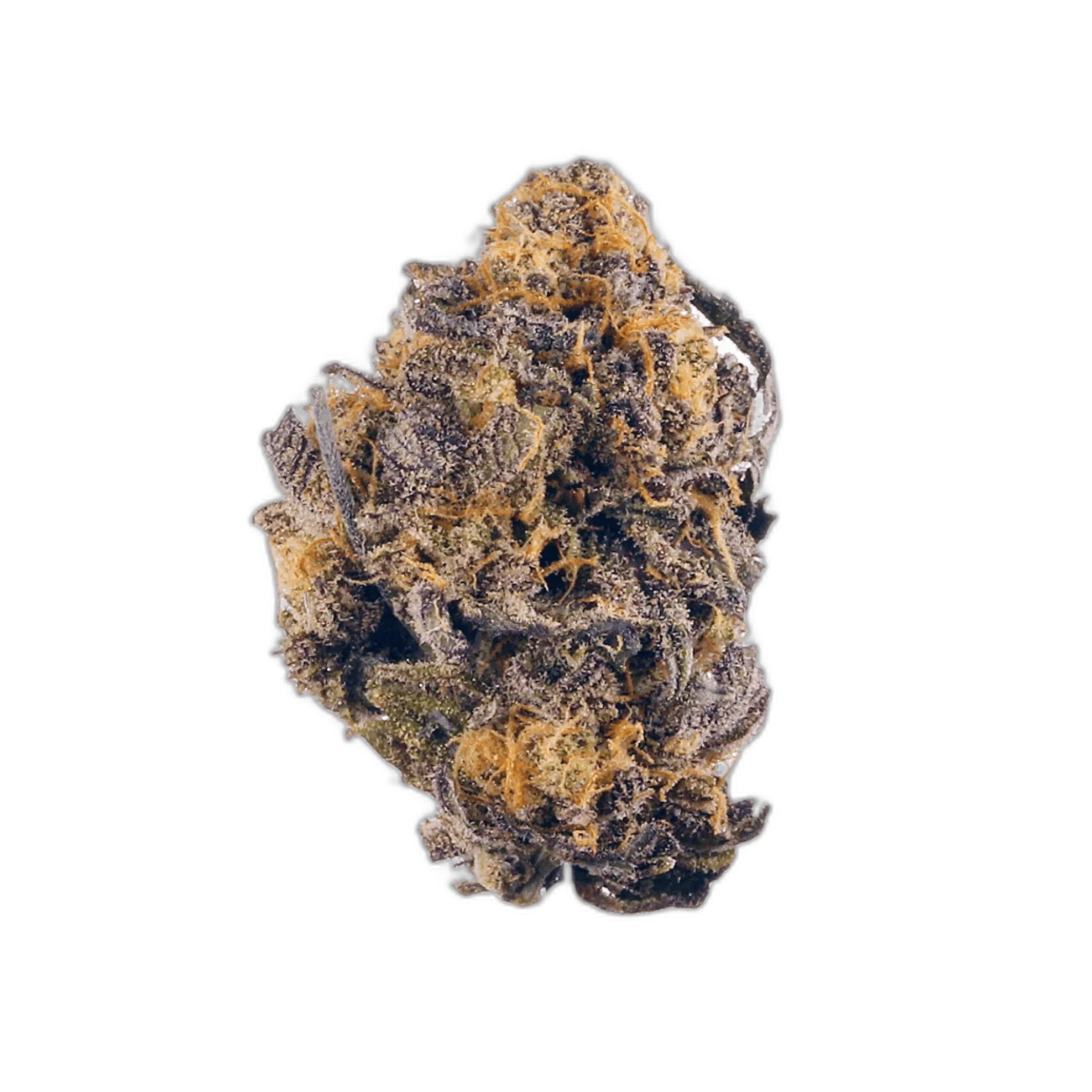 Purple Kush