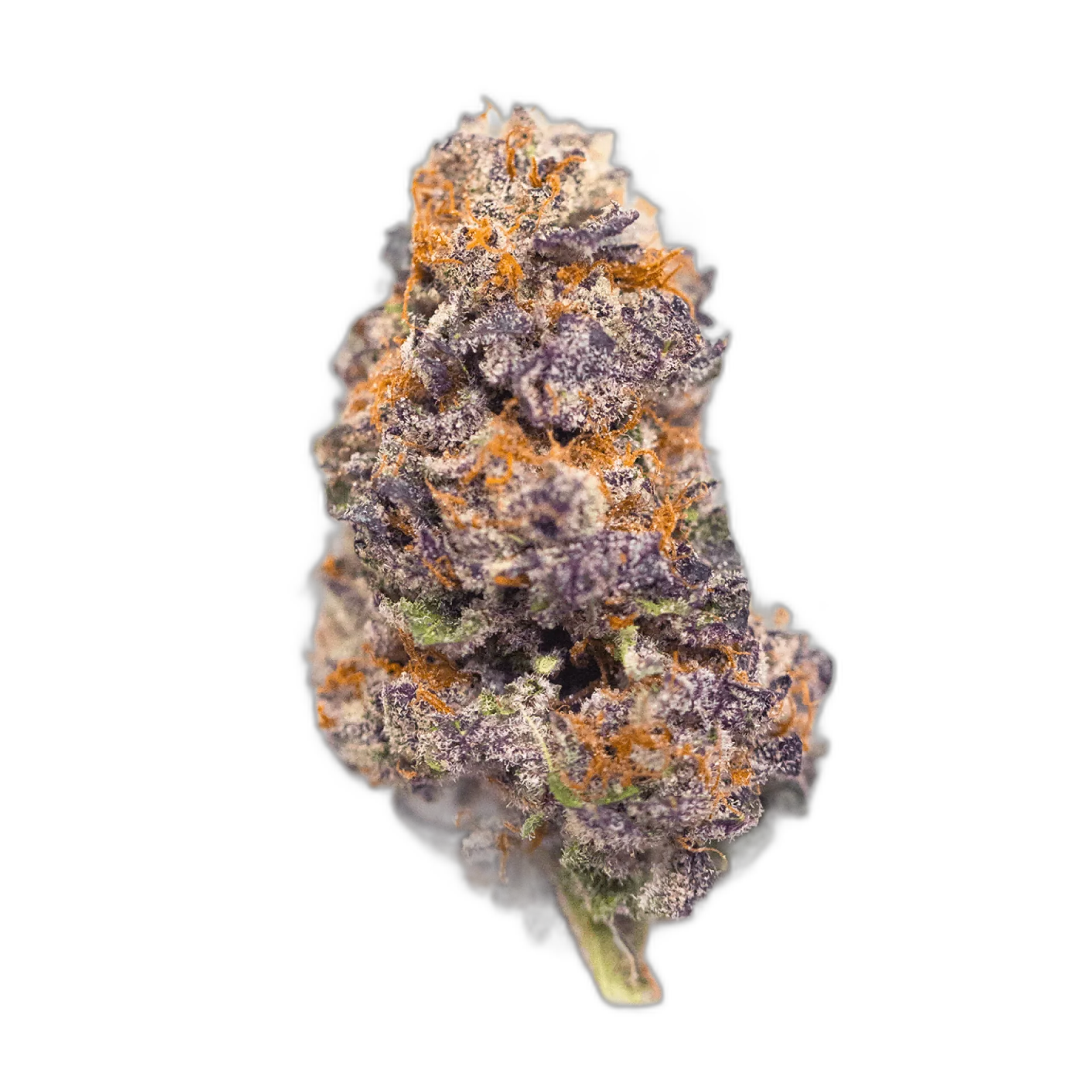 Purple Wreck