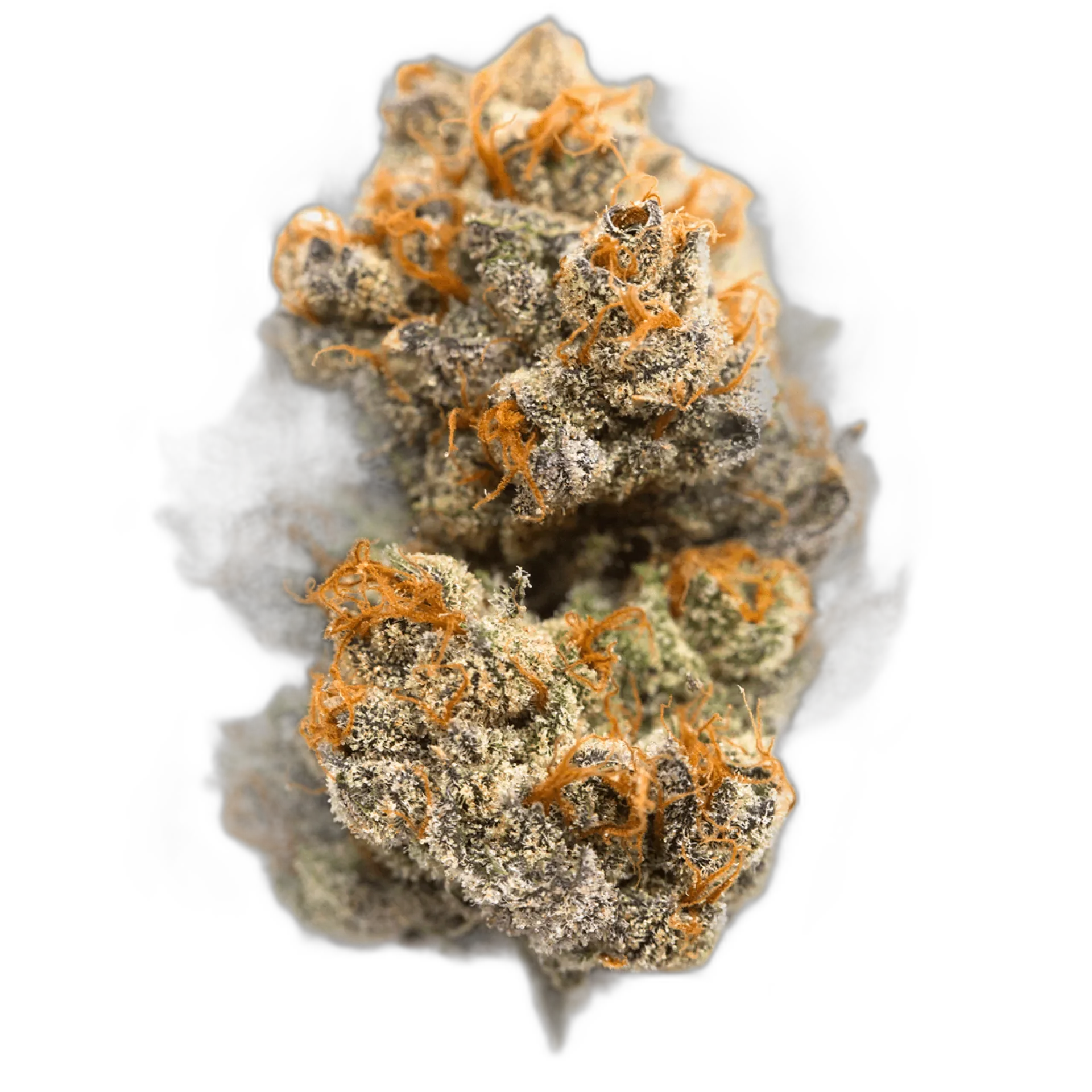 Romulan
