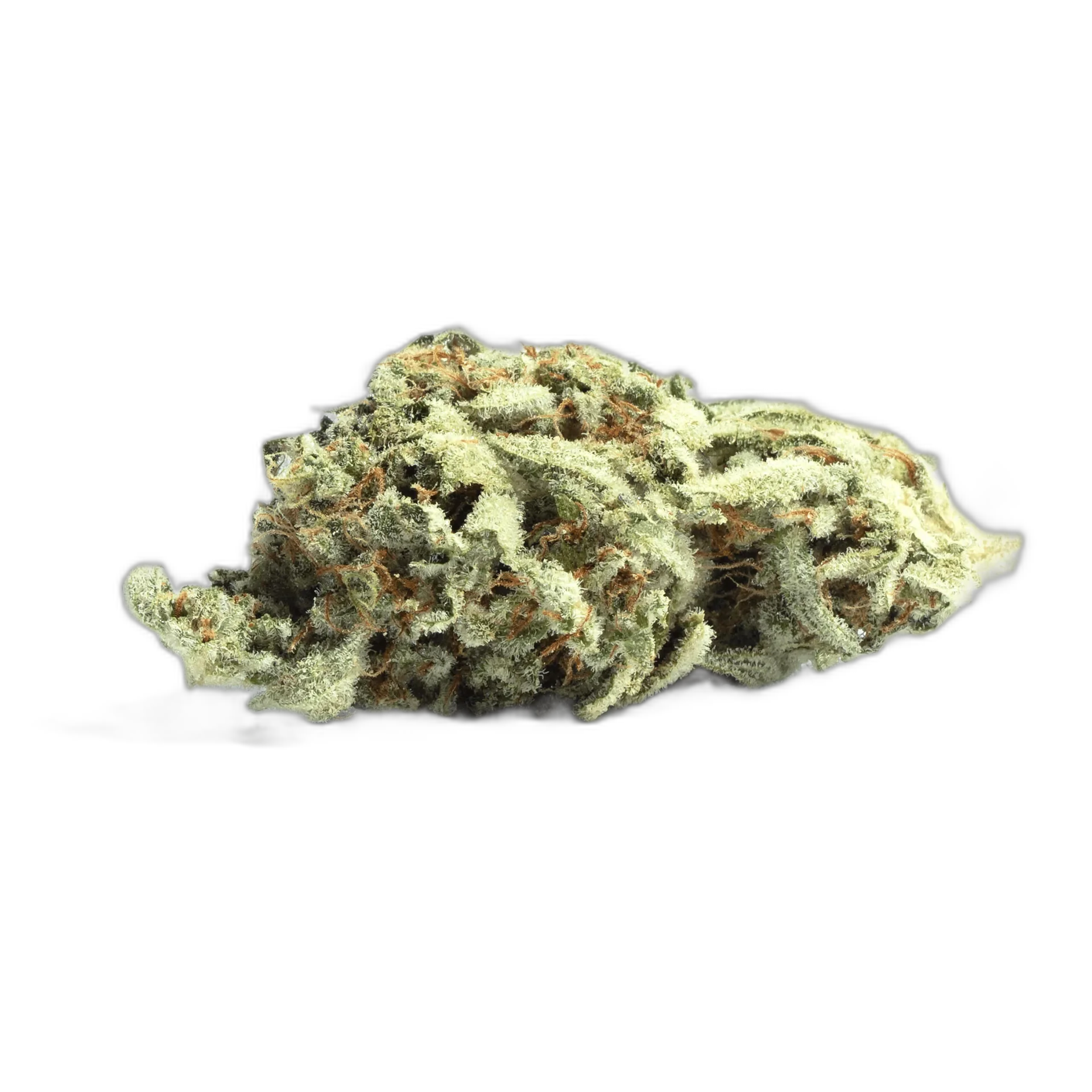Silver Haze
