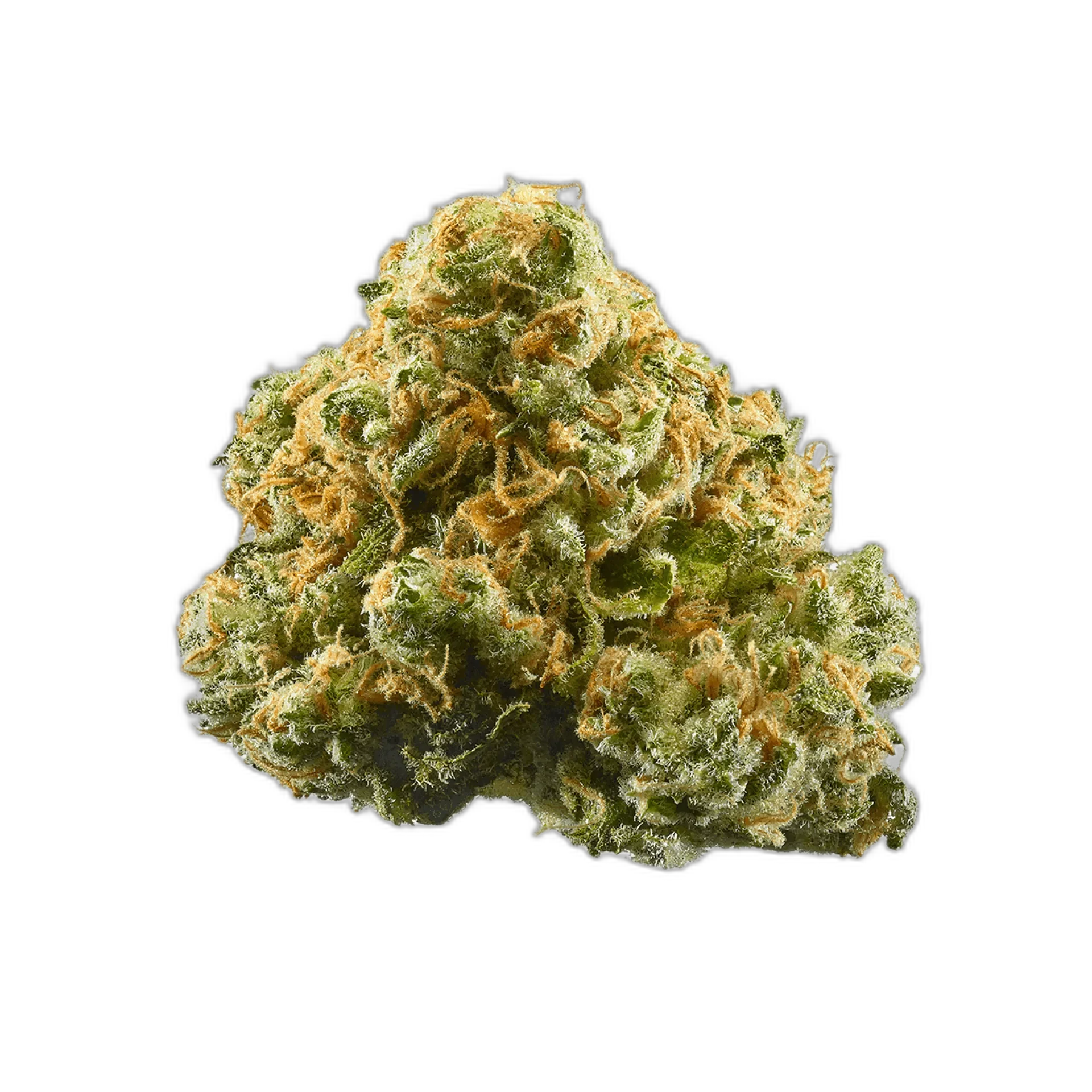 Sour Grape