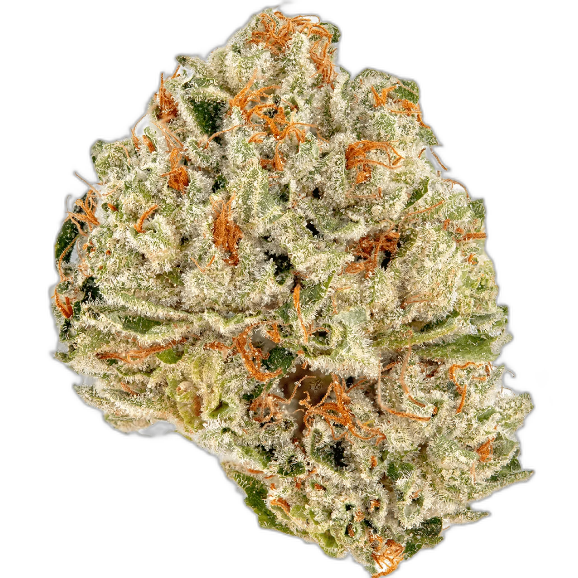 Sour Kush
