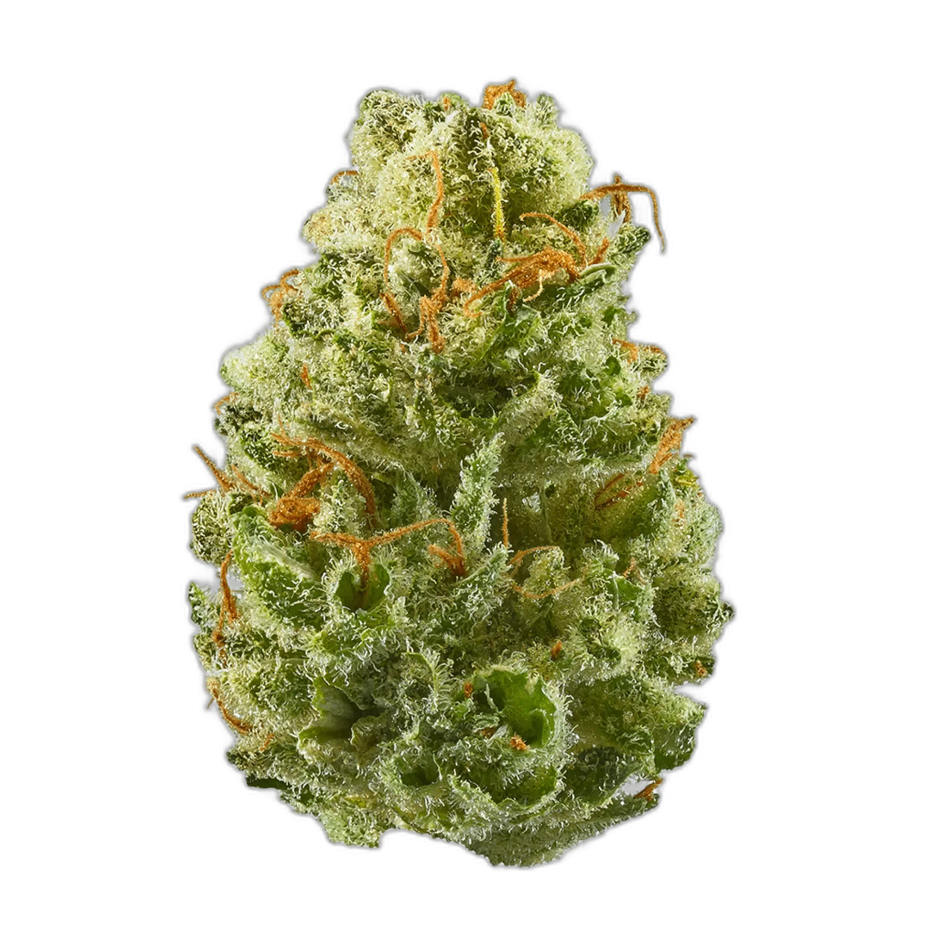 Strawberry Cough