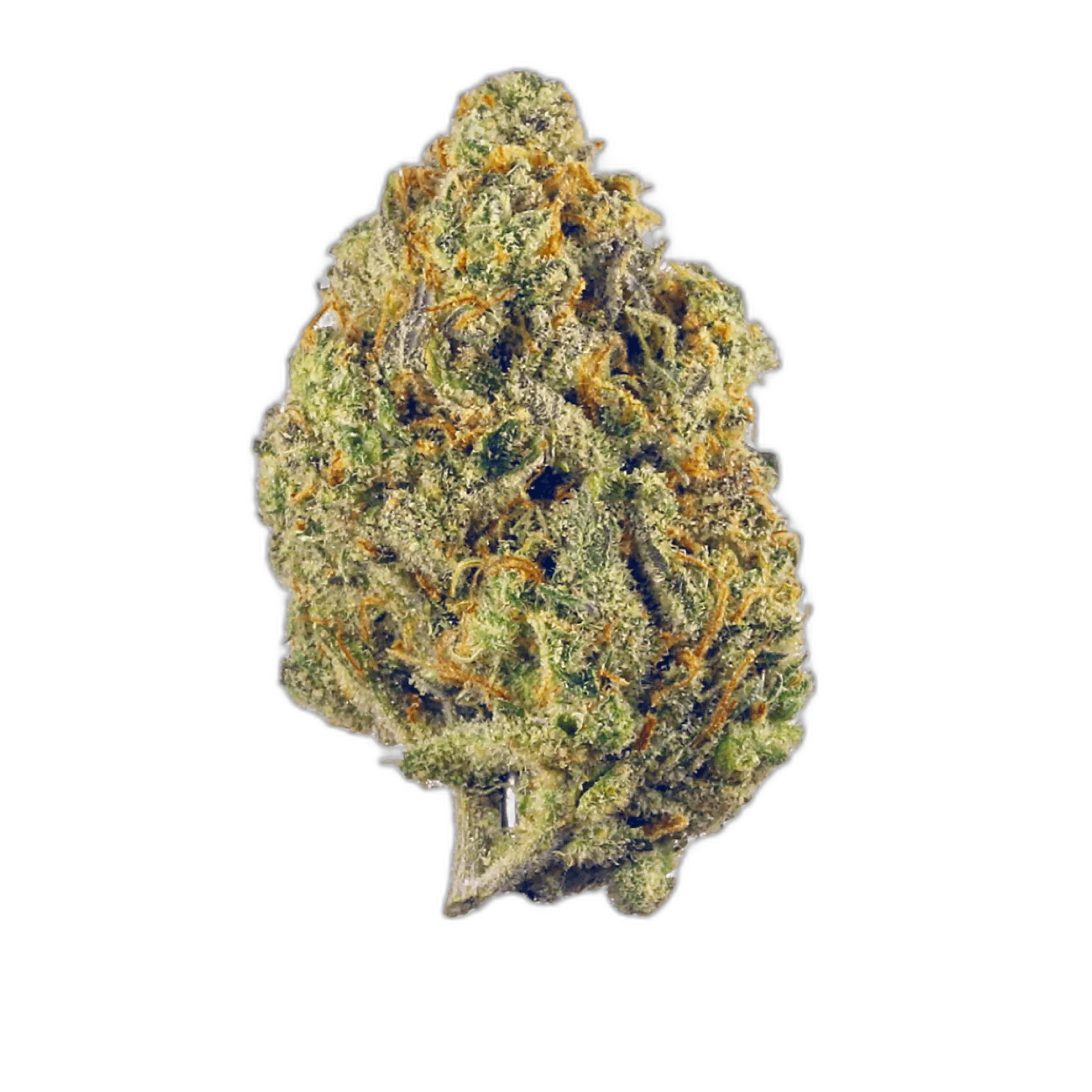 Super Lemon Haze