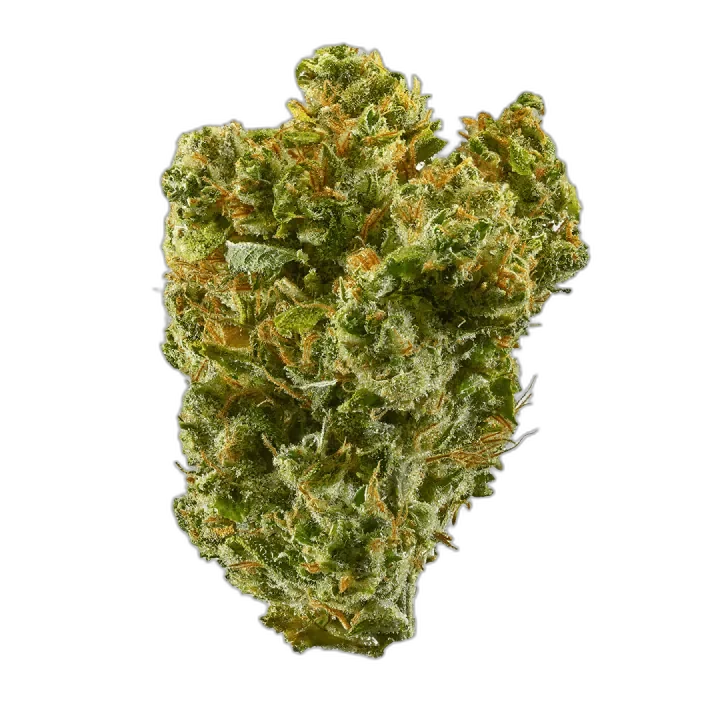 Super Silver Haze