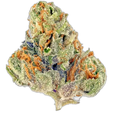 Tahoe OG