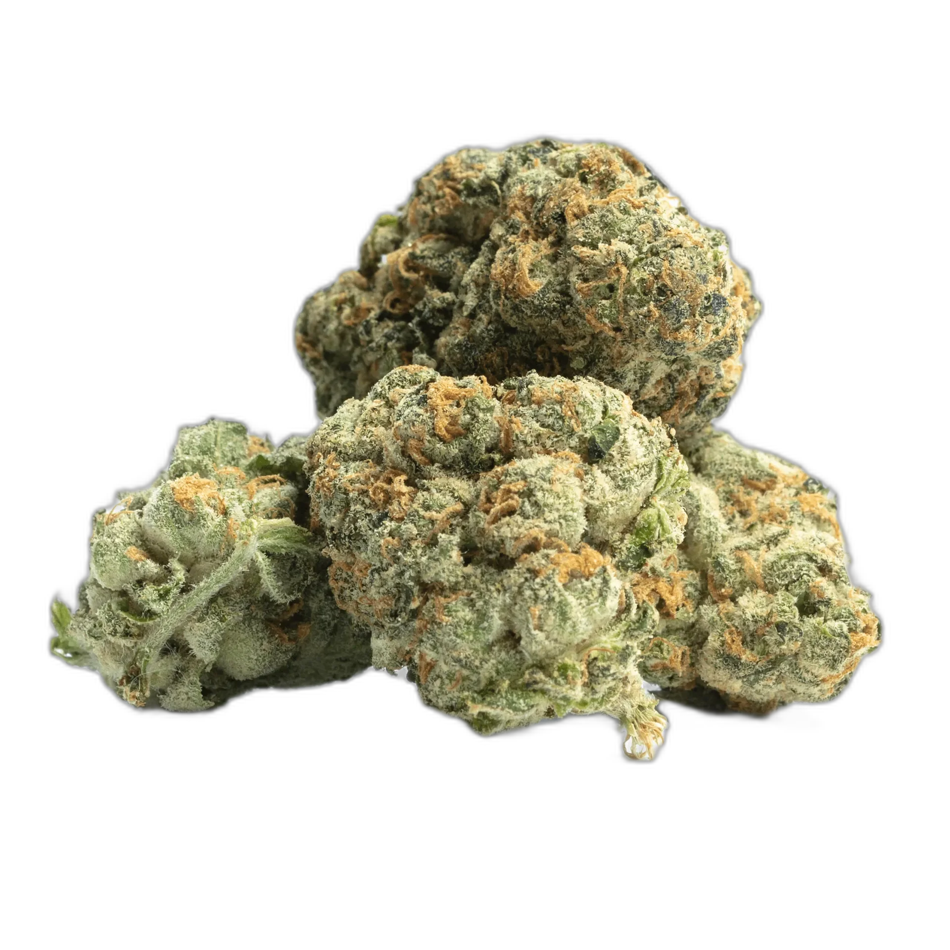 Thin Mint Girl Scout Cookies