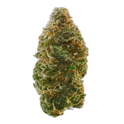 Trainwreck