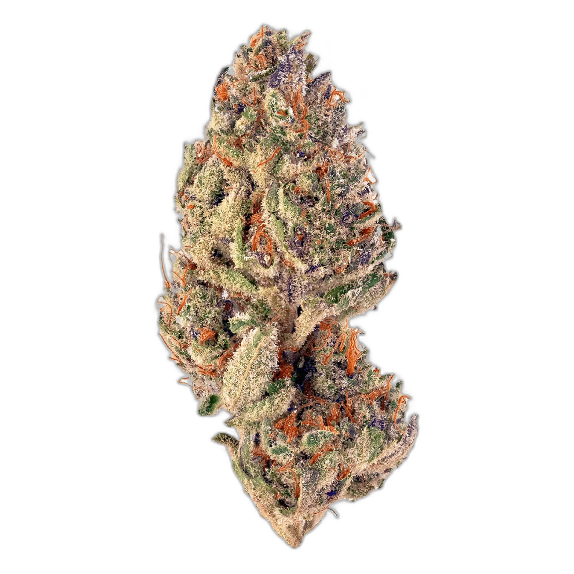 Tropicana Cookies
