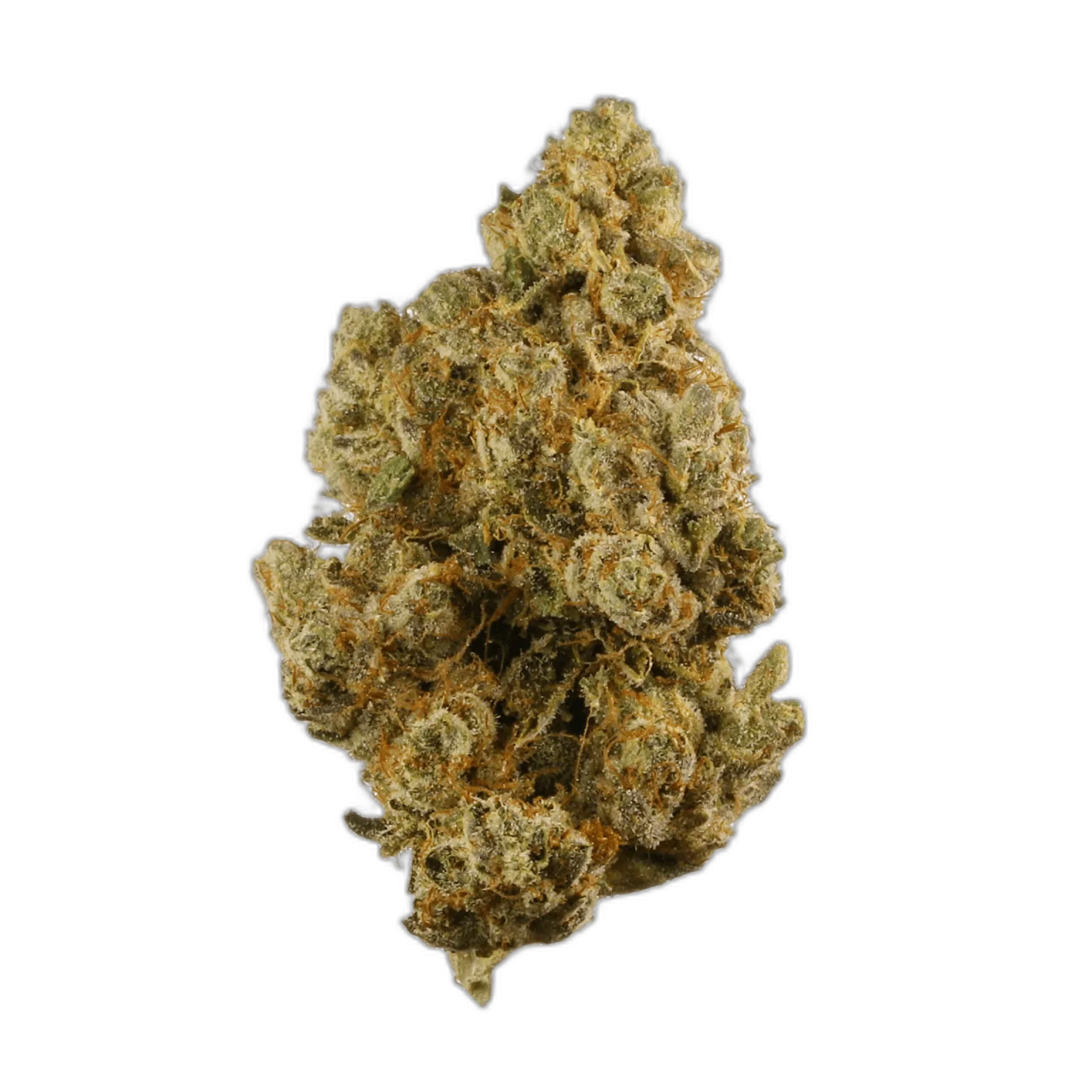 True OG