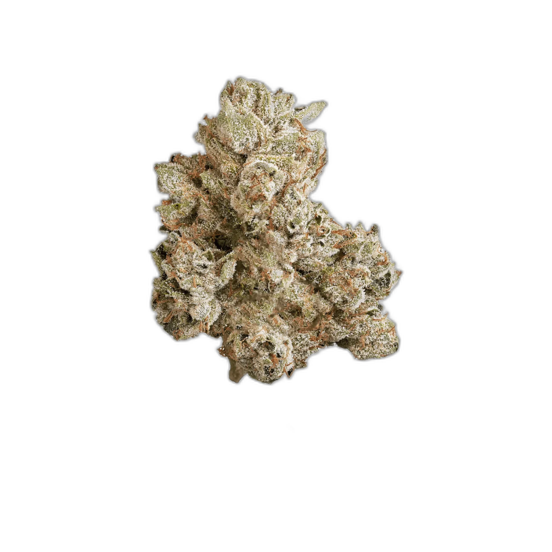 XXX OG